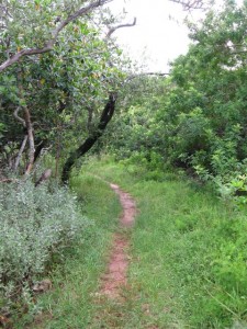 The trail to Walsingham