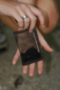 Activated charcoal sampler 