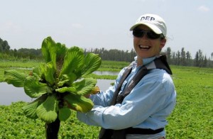 Florida Fish and Wildlife Commission Invasive Plant Biologist Nathalie Visscher with water lettuce, an invasive exotic aquatic plant that responds to nutrient loading and quickly clogs rivers and lakes, reducing oxygen, water flow, and habitat quality for wildlife.