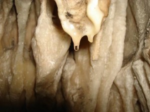 Stalactite forming in Admiral’s Cave, Bermuda