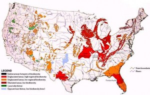 Biodiversity levels of karst landforms in the U.S.   Published by David Culver and the World Wildlife Fund. Figure, courtesy of David Culver.