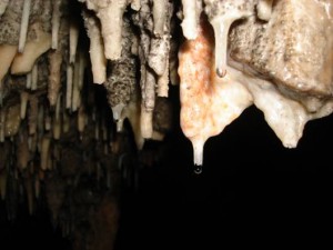Stalactites and soda straws forming in a cave near Aktun Chen, Mexico