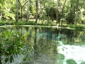 Entrance to Blue Hole at Ichetucknee Springs State Park. The water is clear enough to see to the bottom of the cavern at almost 40 feet in this picture.