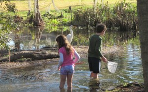 img_8121_21 Youngsters take to the creek to learn about macroinvertebrates and water quality